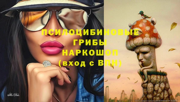 прущие грибы Аркадак