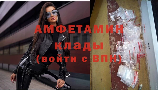 прущие грибы Аркадак