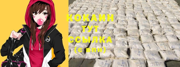прущие грибы Аркадак