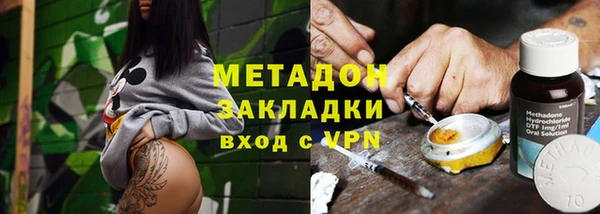 прущие грибы Аркадак