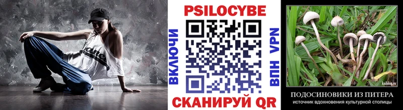Псилоцибиновые грибы мицелий  что такое наркотик  Севск 